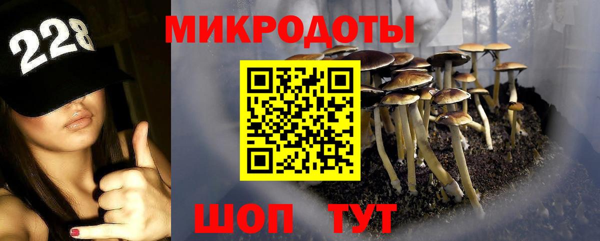 Псилоцибиновые грибы Psilocybe Одинцово