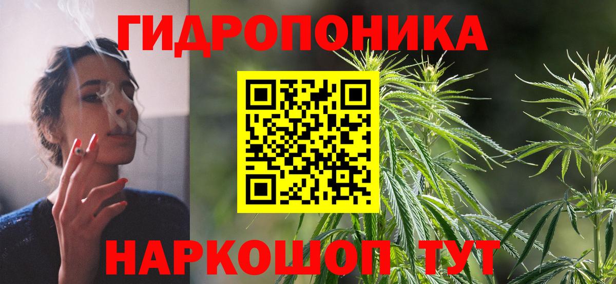 Бошки марихуана Bruce Banner  Вход с VPN  МАРИХУАНА тримм  Одинцово  Бошки Шишки конопля 